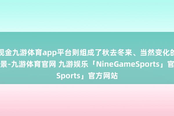 现金九游体育app平台则组成了秋去冬来、当然变化的完好布景-九游体育官网 九游娱乐「NineGameSports」官方网站