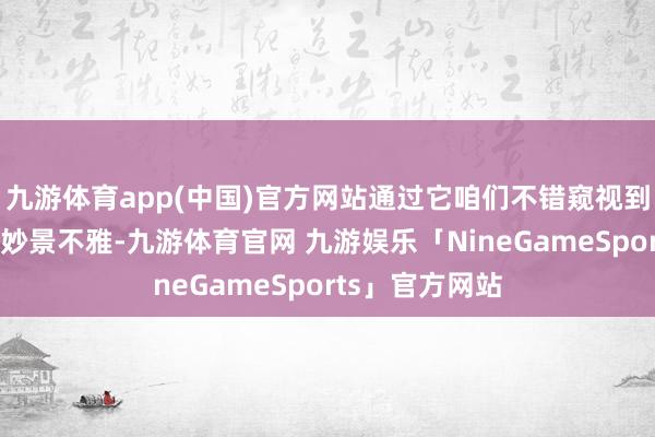 九游体育app(中国)官方网站通过它咱们不错窥视到数字全国的奇妙景不雅-九游体育官网 九游娱乐「NineGameSports」官方网站