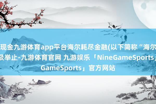 现金九游体育app平台海尔耗尽金融(以下简称“海尔消金”)积极举止-九游体育官网 九游娱乐「NineGameSports」官方网站