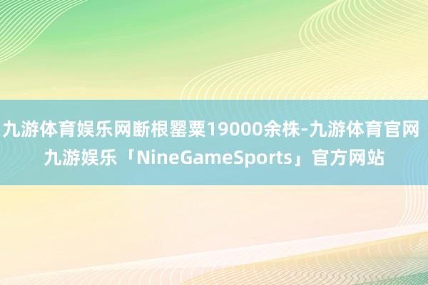 九游体育娱乐网断根罂粟19000余株-九游体育官网 九游娱乐「NineGameSports」官方网站